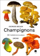 Champignons - Becker